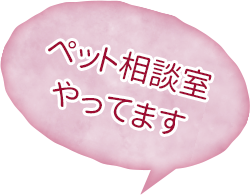 ペット相談室やってます