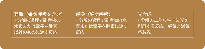 発酵と腐敗の境界線