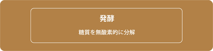 微生物による物質生産