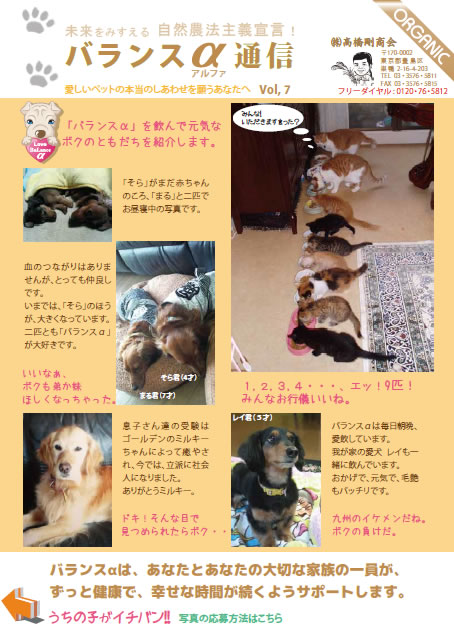 バランスアルファ通信7