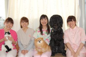 いずみ犬と猫のクリック