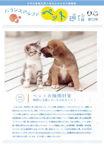 バランスアルファペット通信13