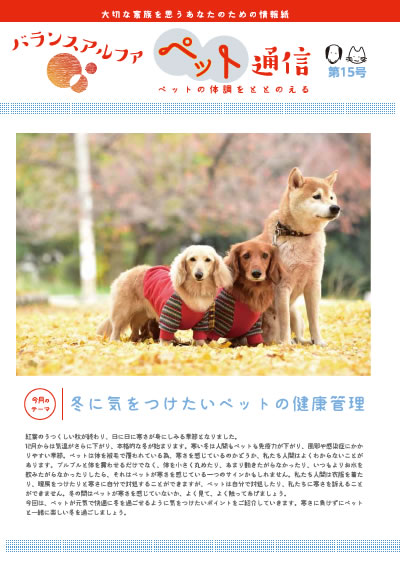 バランスアルファペット通信15
