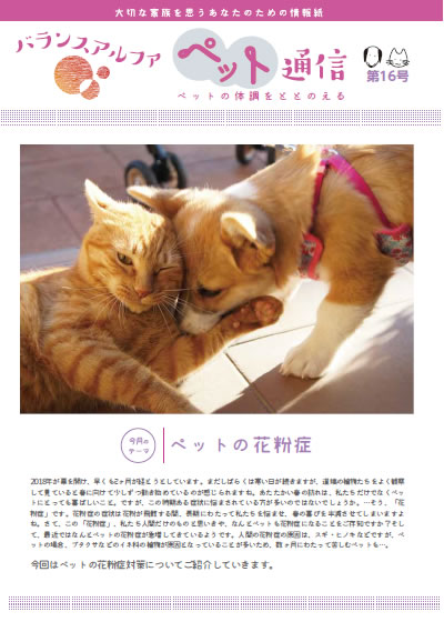 バランスアルファペット通信16