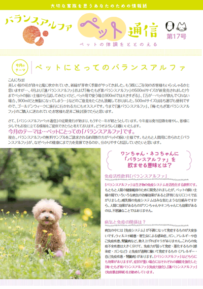 バランスアルファ通信2