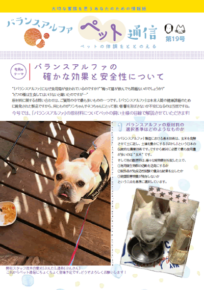 バランスアルファペット通信16