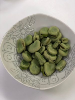 食物繊維が豊富なランチ