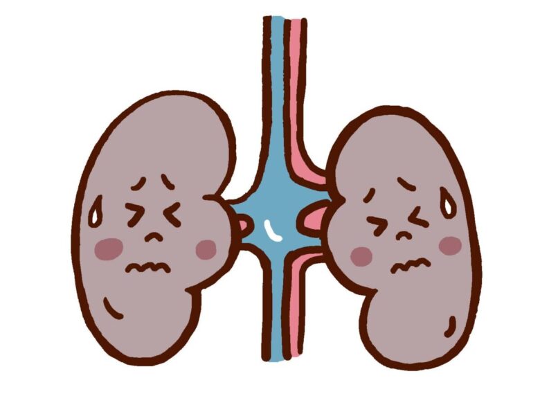 腎不全のペットの食事で気をつけることは？