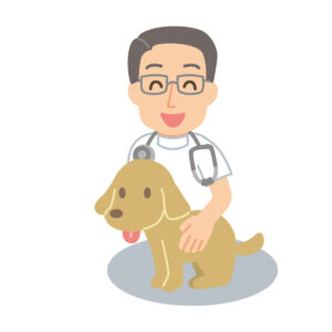 乳腺腫瘍の犬と獣医師