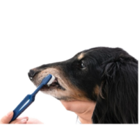 b009